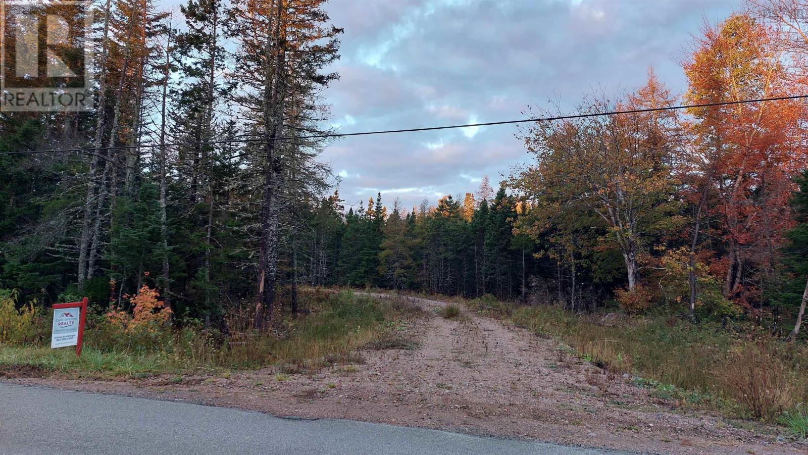 Lot 7 Lower River Rd, Cleveland, Nova Scotia  B0E 1J0 - Photo 2 - 202426076