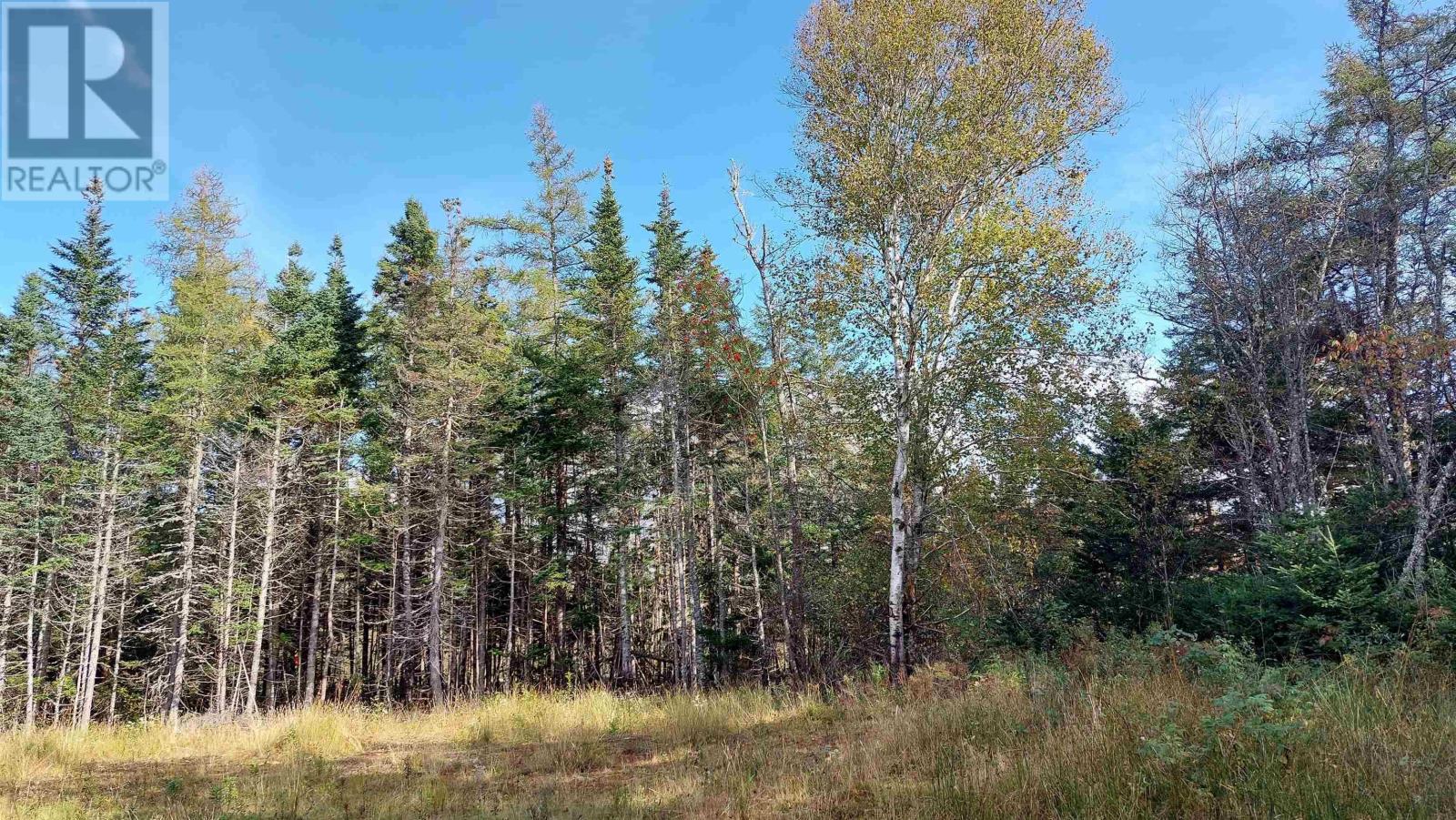 Lot 7 Lower River Rd, Cleveland, Nova Scotia  B0E 1J0 - Photo 4 - 202426076