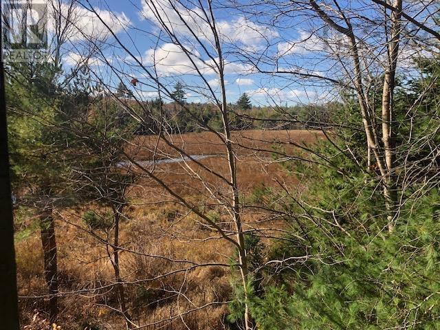 836 Whiteburne Road, Whiteburn Mines, Nova Scotia  B0T 1B0 - Photo 11 - 202426105