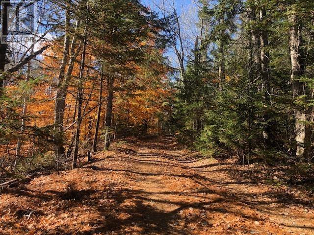 836 Whiteburne Road, Whiteburn Mines, Nova Scotia  B0T 1B0 - Photo 16 - 202426105