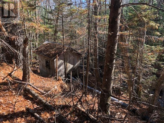 836 Whiteburne Road, Whiteburn Mines, Nova Scotia  B0T 1B0 - Photo 17 - 202426105