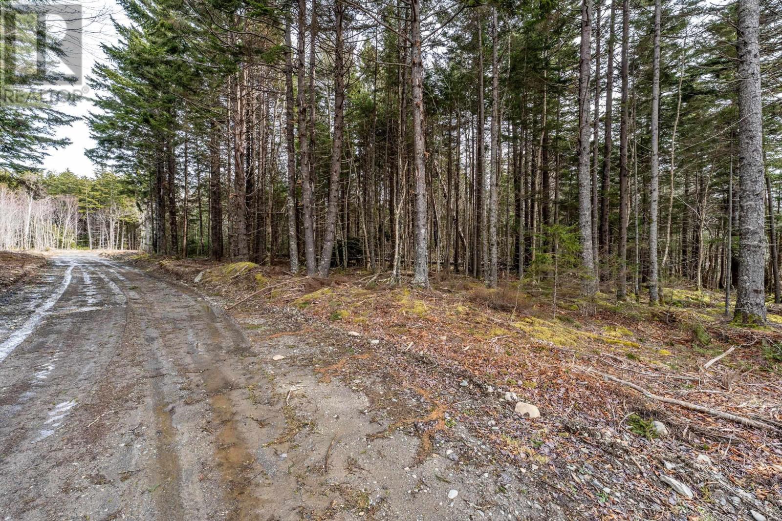 Lot Grosses Coques Road, Grosses Coques, Nova Scotia  B0W 1M0 - Photo 18 - 202426244