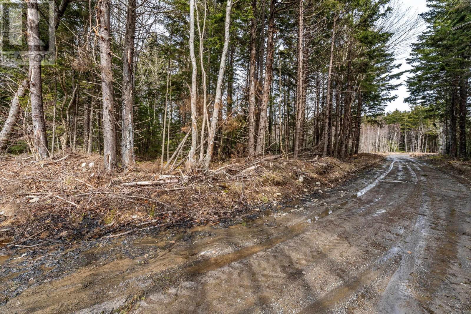 Lot Grosses Coques Road, Grosses Coques, Nova Scotia  B0W 1M0 - Photo 19 - 202426244