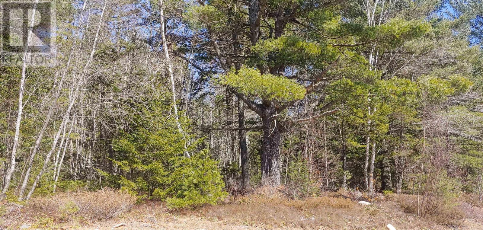 Lot Lemuel Smith Road, nineveh, Nova Scotia