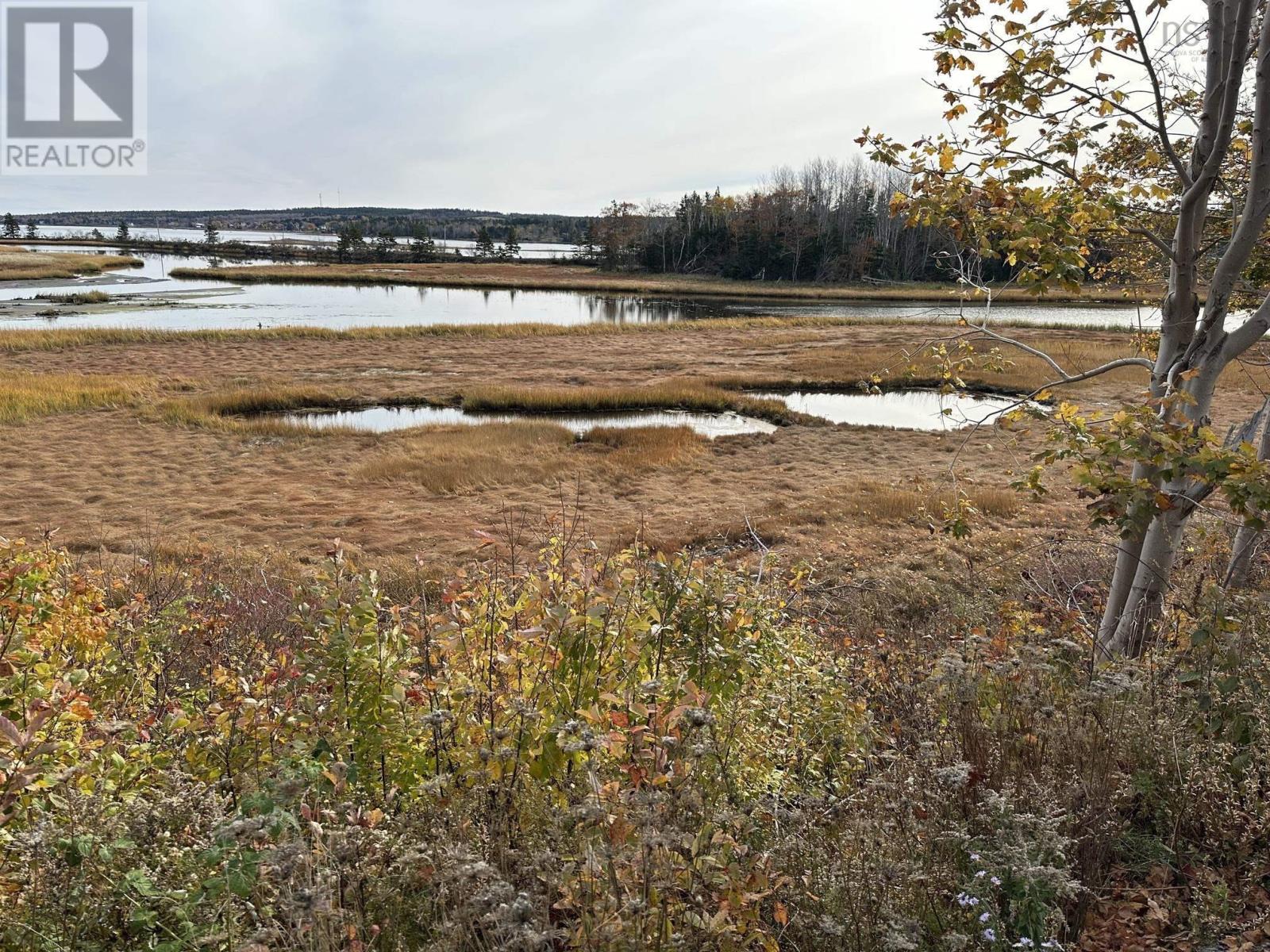 Lot Pid#60467115 Highway 332, Rose Bay, Nova Scotia  B0J 2X0 - Photo 2 - 202426318