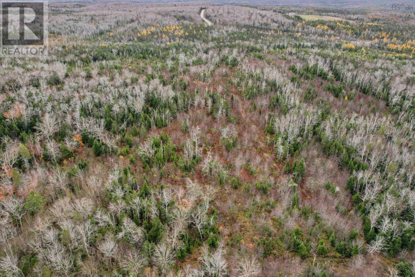 0 Brickyard Road, Albert Bridge, Nova Scotia  B1K 2R4 - Photo 4 - 202426329