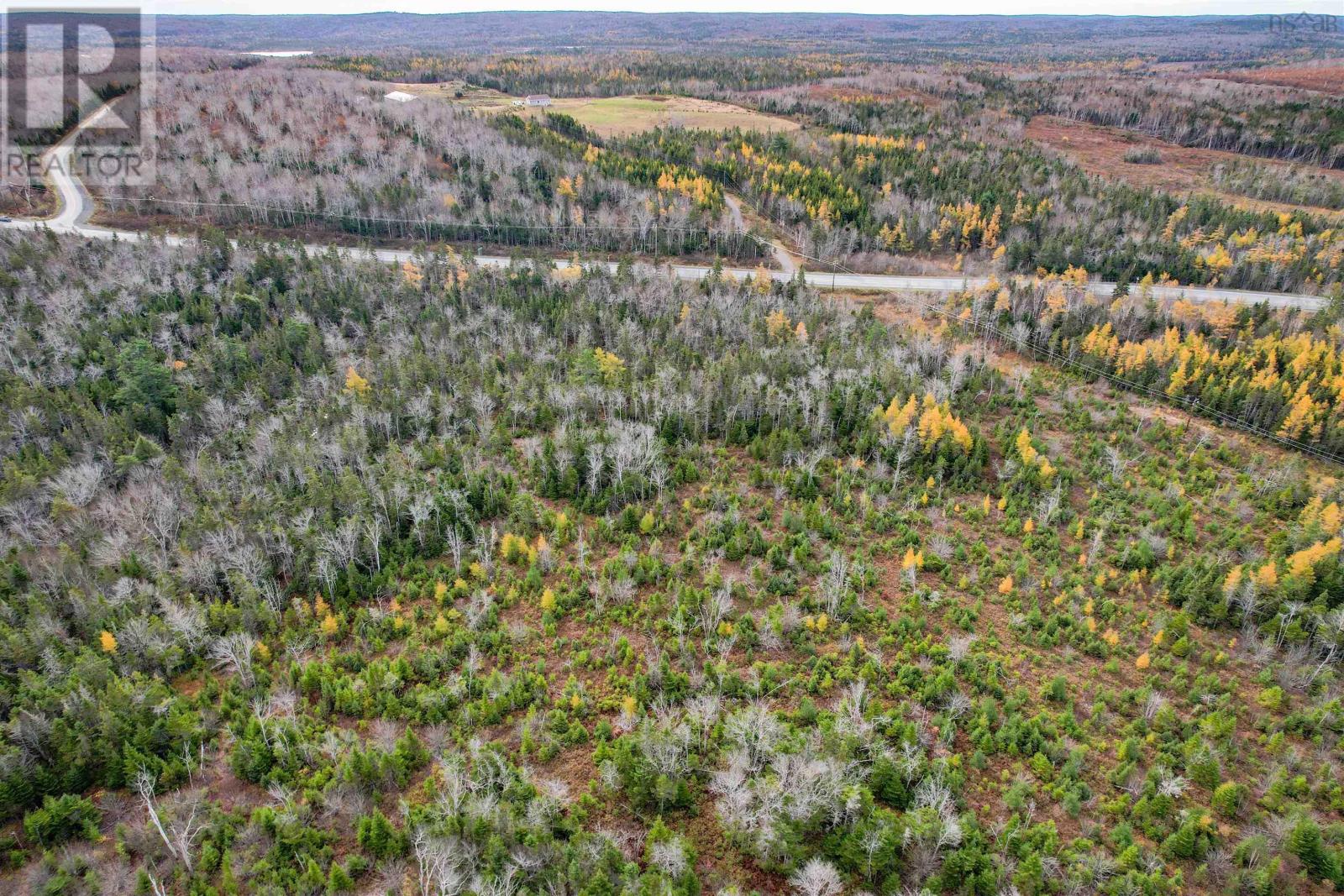 0 Lousibourg Highway, Albert Bridge, Nova Scotia  B1K 2P4 - Photo 3 - 202426342