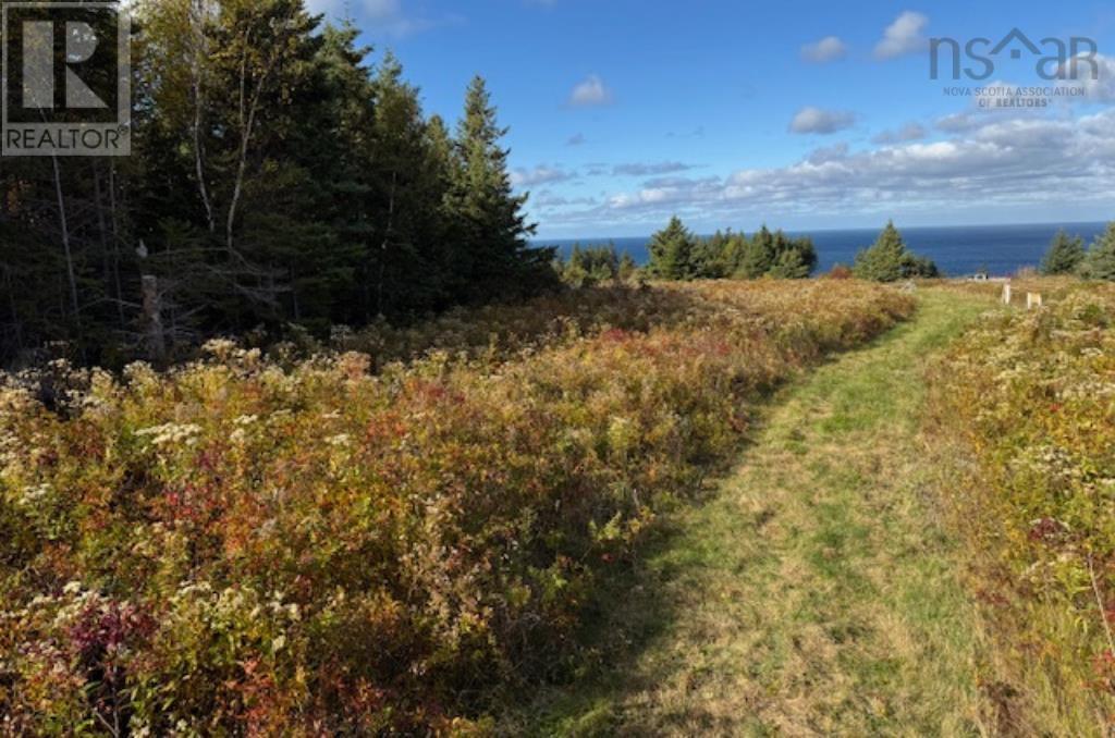 Lot Pid#01290402 Highway 337, Cape George Point, Nova Scotia  B2G 2L2 - Photo 2 - 202426343