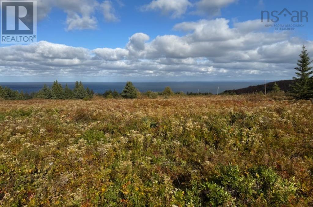 Lot Pid#01290402 Highway 337, Cape George Point, Nova Scotia  B2G 2L2 - Photo 3 - 202426343