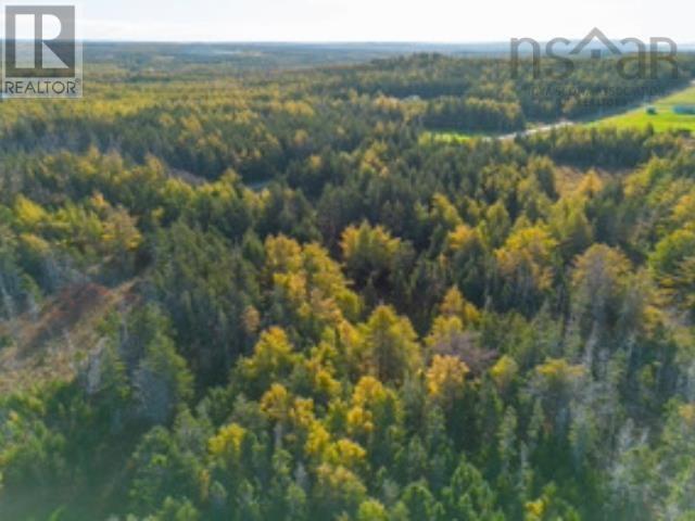 Lot 4b Lower Shore Road, Little Judique, Nova Scotia  B0E 1P0 - Photo 21 - 202426345