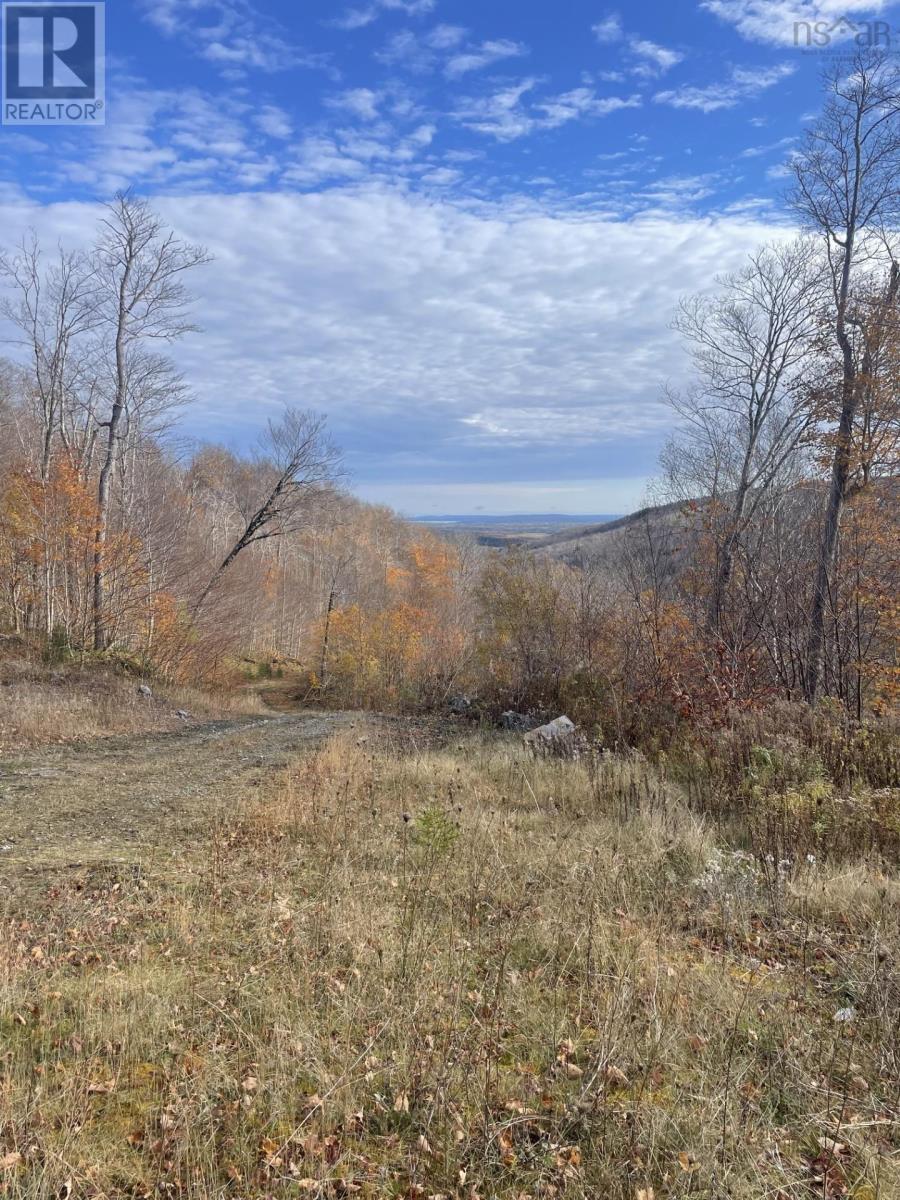 Lot River Denys Road, River Denys, Nova Scotia  B0E 2Y0 - Photo 3 - 202426393