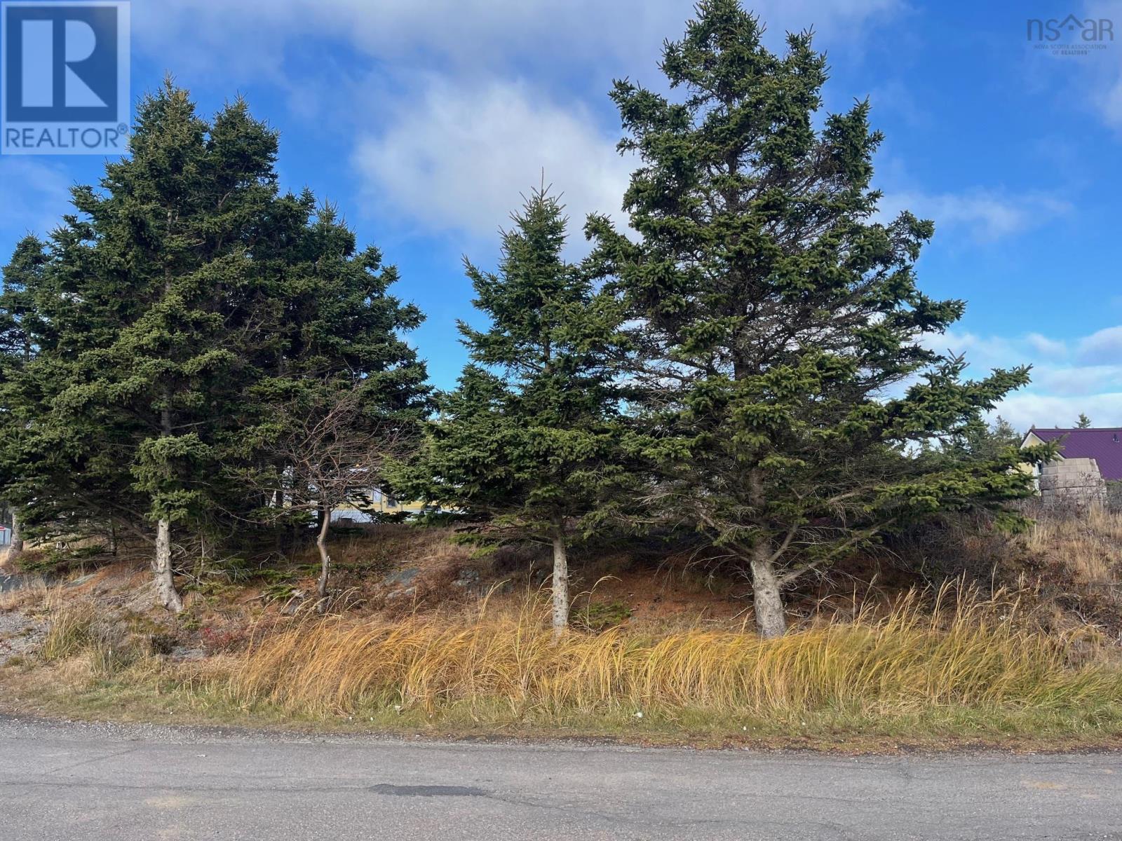 Lot Pid#60171535 Herring Rock Road, Blue Rocks, Nova Scotia  B0J 2C0 - Photo 15 - 202426438