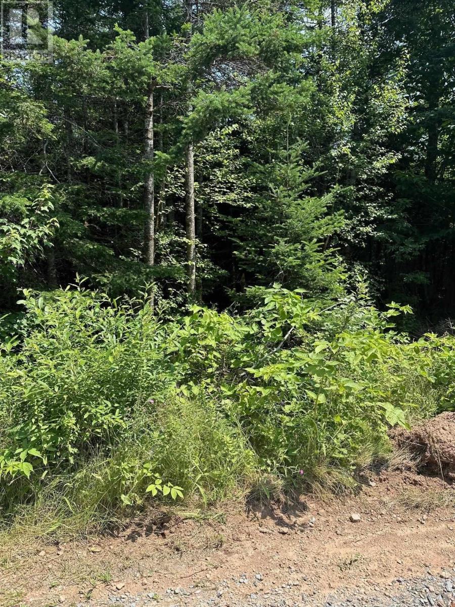 Lot 61a Evergreen Rise, New Russell, Nova Scotia  B0J 2M0 - Photo 2 - 202426454