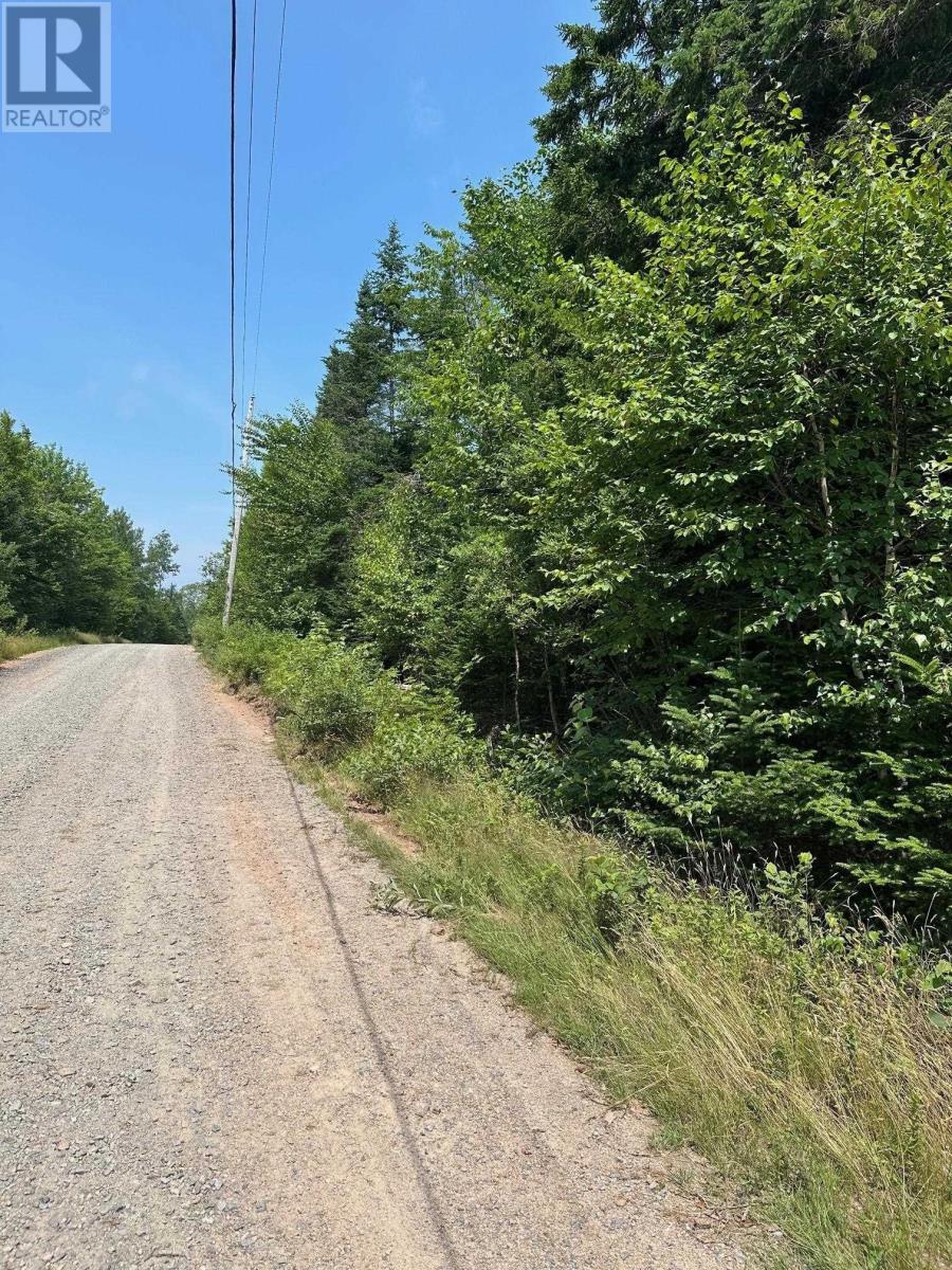 Lot 62a Evergreen Rise, New Russell, Nova Scotia  B0J 2M0 - Photo 3 - 202426456