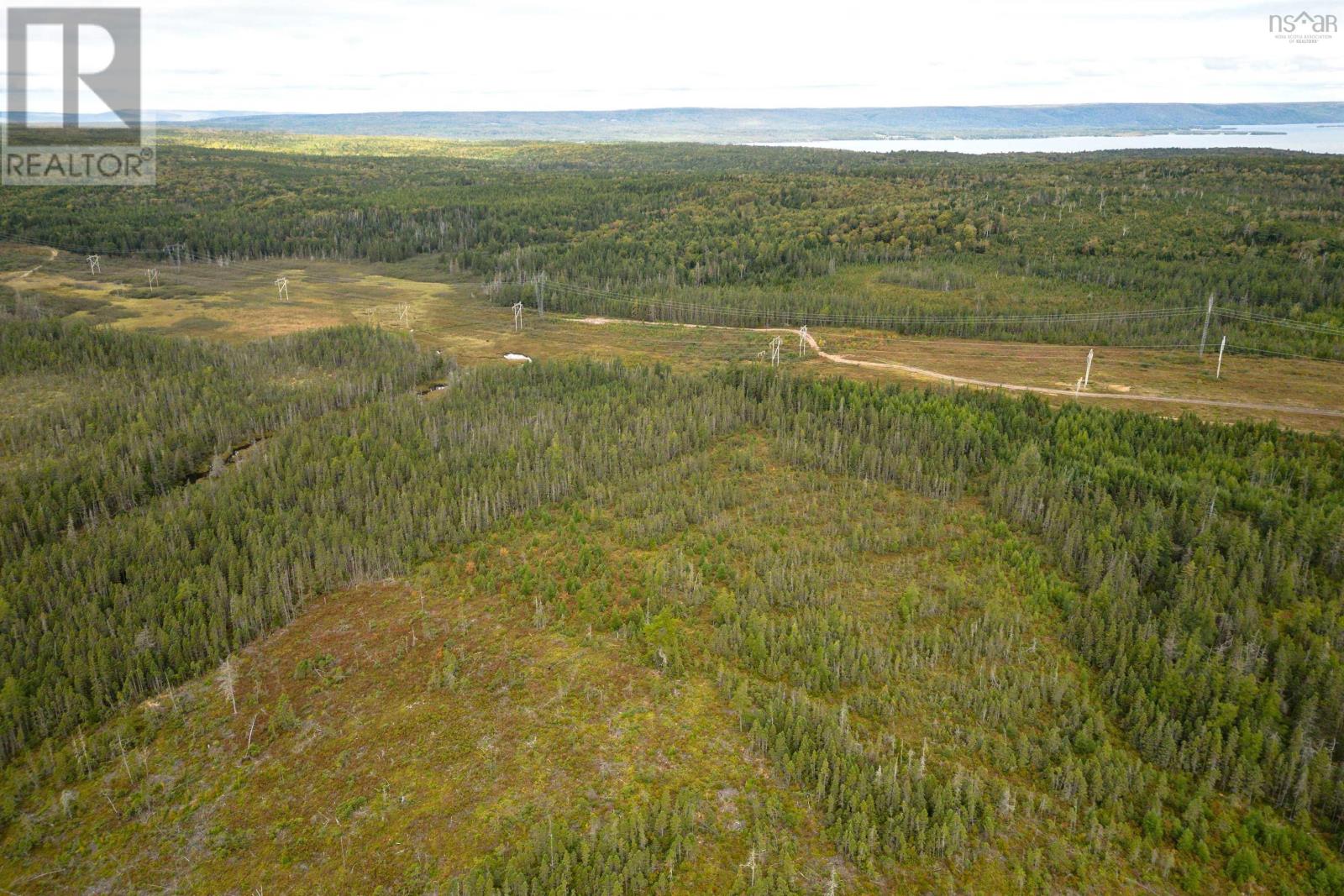 50 Acres Rear Black River Road, Grande Anse, Nova Scotia  B0E 3K0 - Photo 10 - 202426605