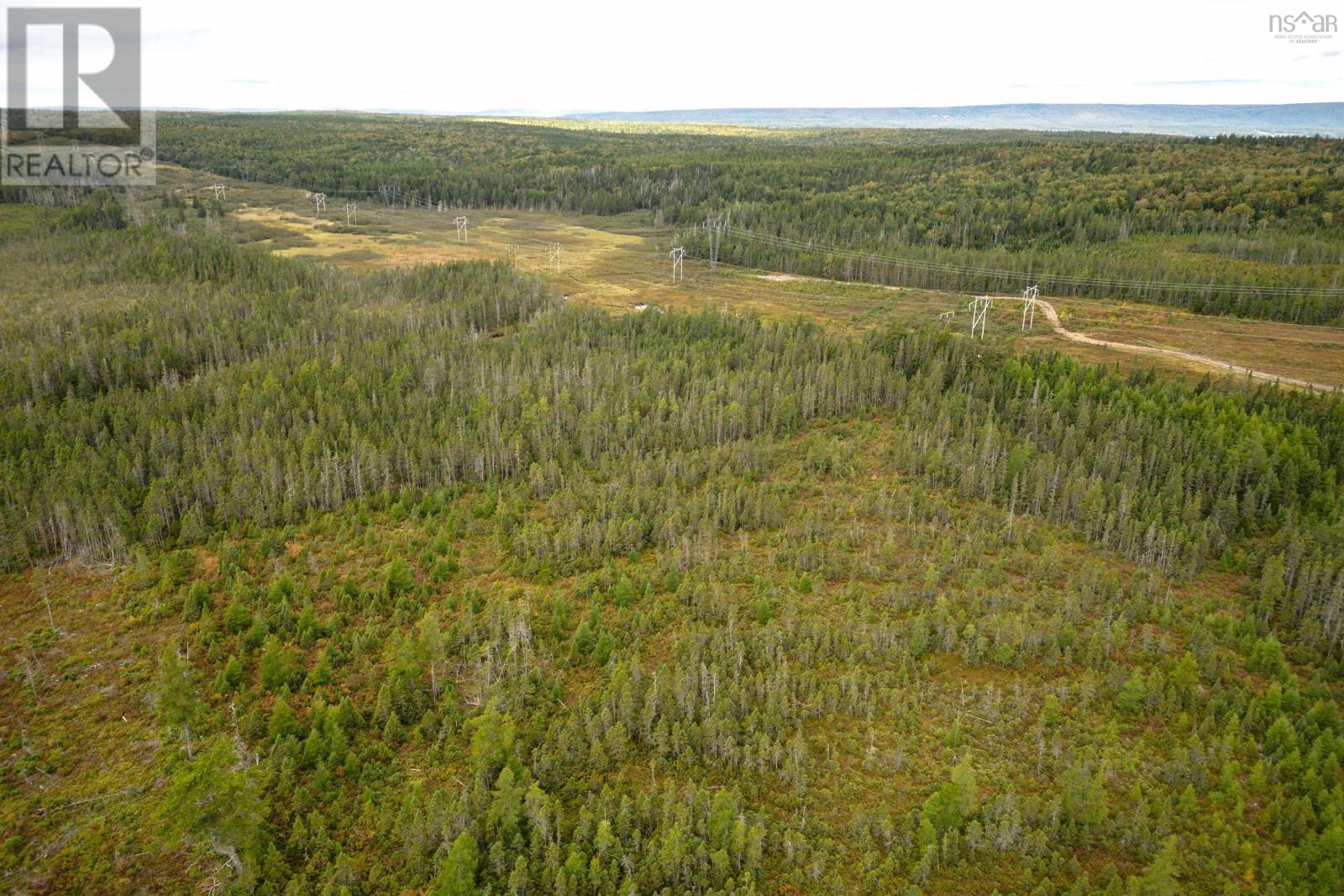 50 Acres Rear Black River Road, Grande Anse, Nova Scotia  B0E 3K0 - Photo 11 - 202426605