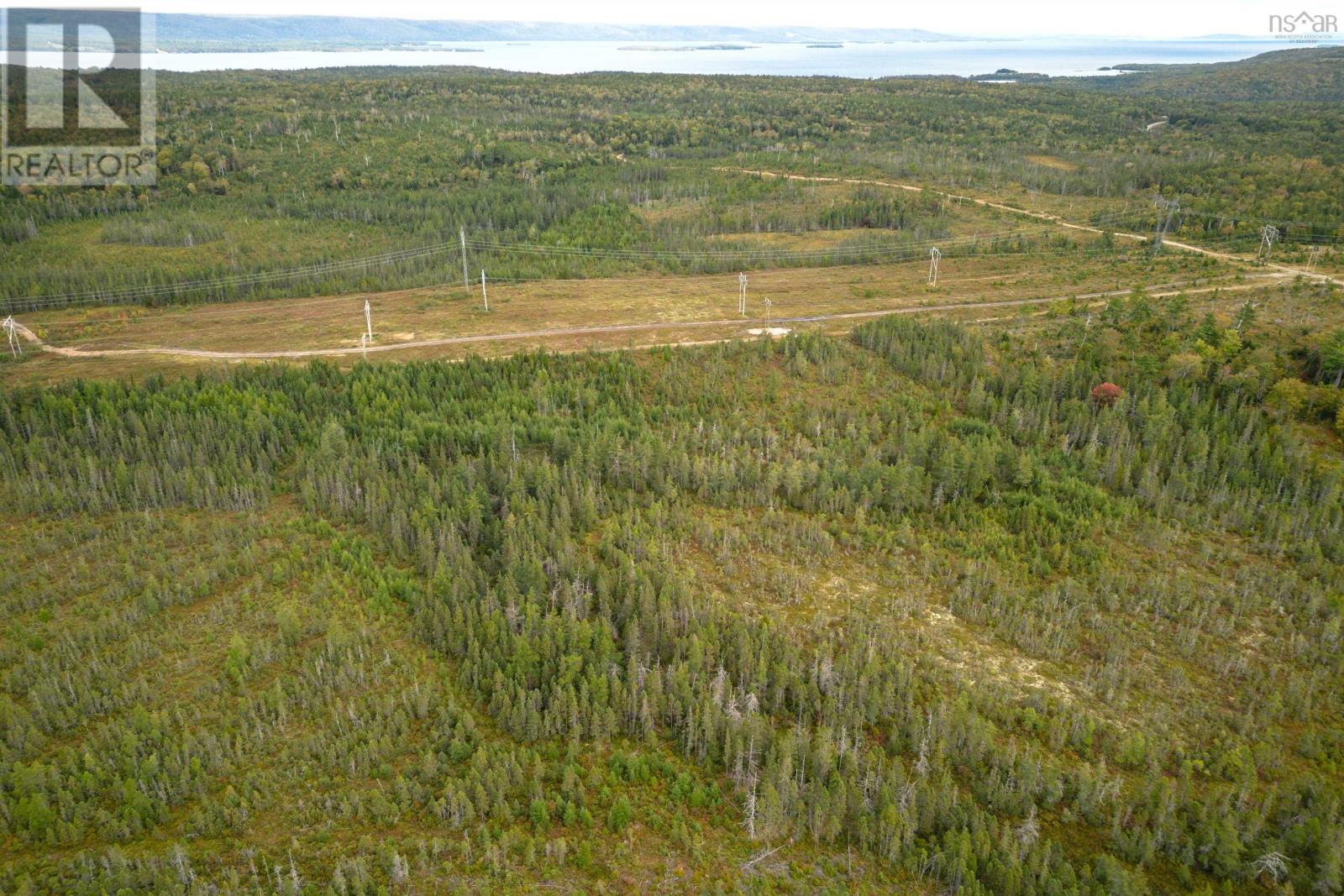 50 Acres Rear Black River Road, Grande Anse, Nova Scotia  B0E 3K0 - Photo 13 - 202426605