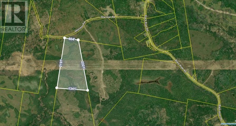 50 Acres Rear Black River Road, Grande Anse, Nova Scotia  B0E 3K0 - Photo 15 - 202426605