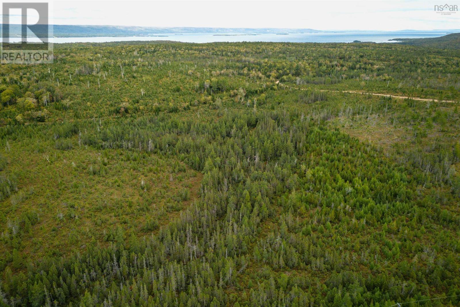 50 Acres Rear Black River Road, Grande Anse, Nova Scotia  B0E 3K0 - Photo 2 - 202426605