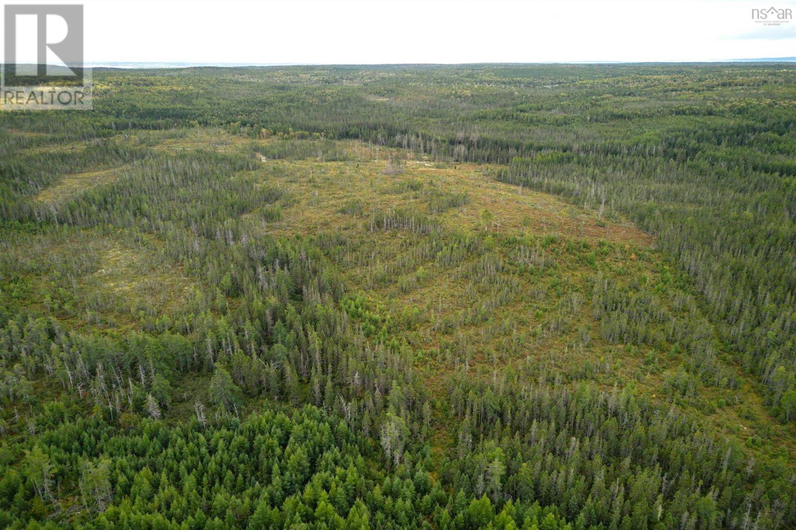 50 Acres Rear Black River Road, Grande Anse, Nova Scotia  B0E 3K0 - Photo 3 - 202426605