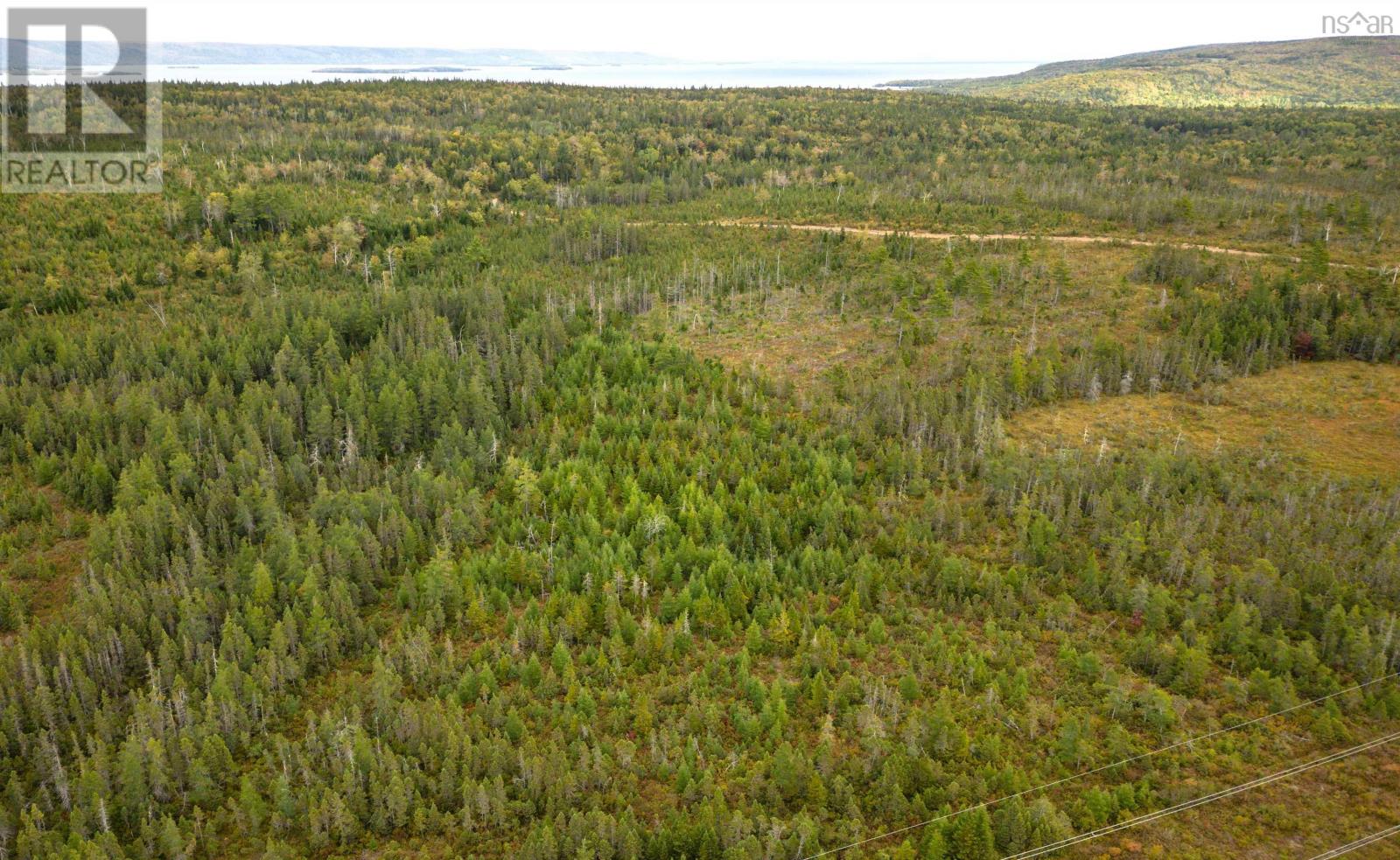 50 Acres Rear Black River Road, Grande Anse, Nova Scotia  B0E 3K0 - Photo 5 - 202426605