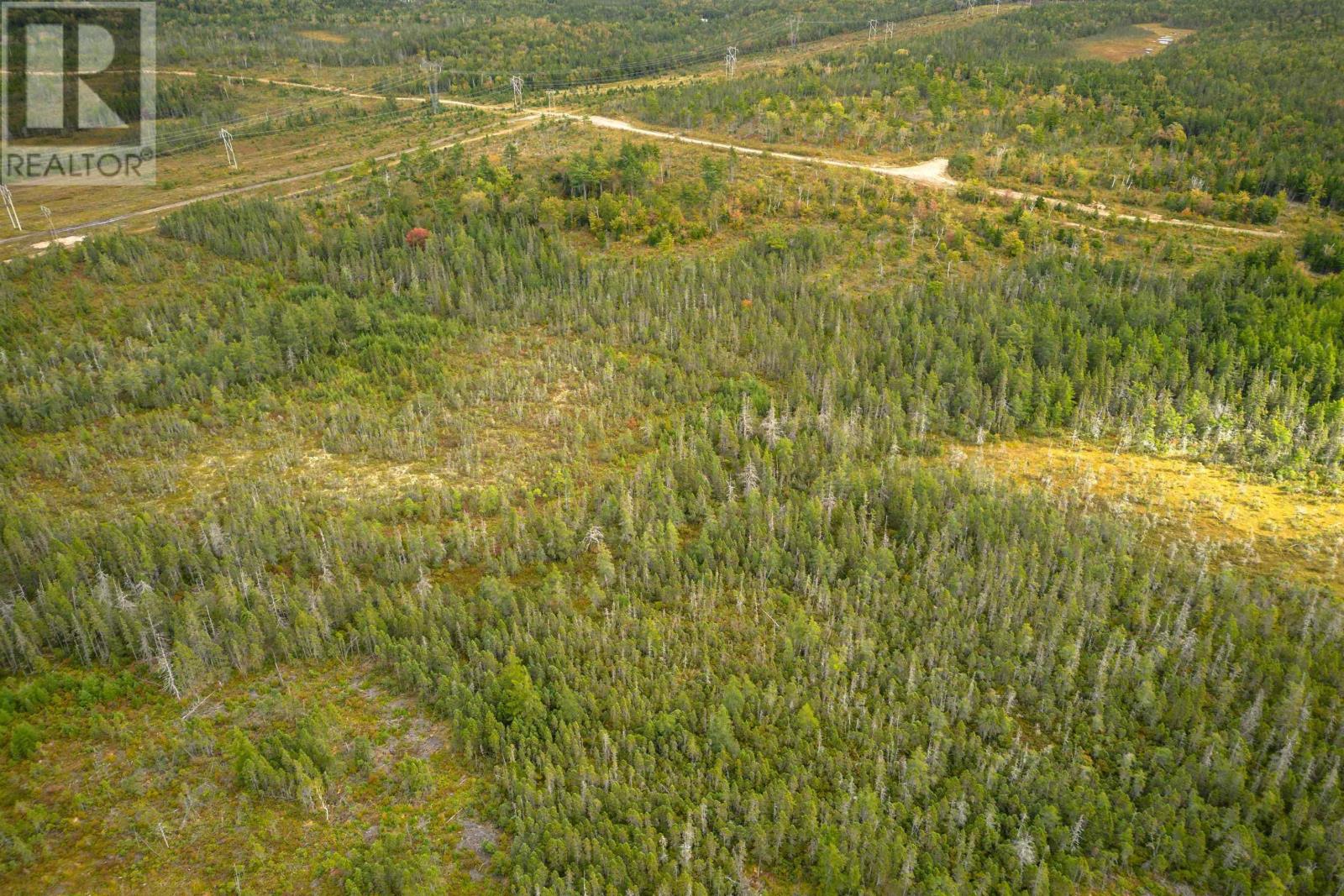 50 Acres Rear Black River Road, Grande Anse, Nova Scotia  B0E 3K0 - Photo 9 - 202426605