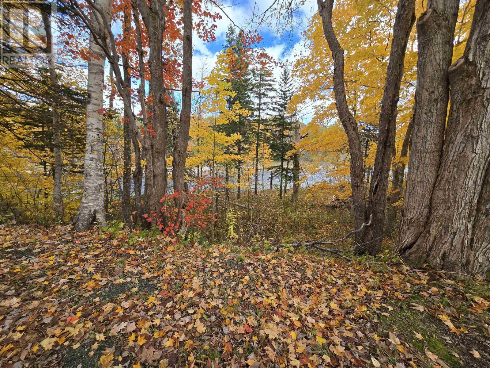 124 Crowdis Crossing Road, Margaree Valley, Nova Scotia  B0E 2C0 - Photo 43 - 202426624