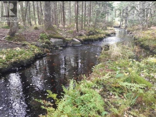 Lots Sissiboo Road, Bear River, Nova Scotia  B0S 1B0 - Photo 10 - 202426725