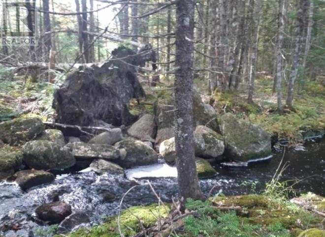 Lots Sissiboo Road, Bear River, Nova Scotia  B0S 1B0 - Photo 11 - 202426725