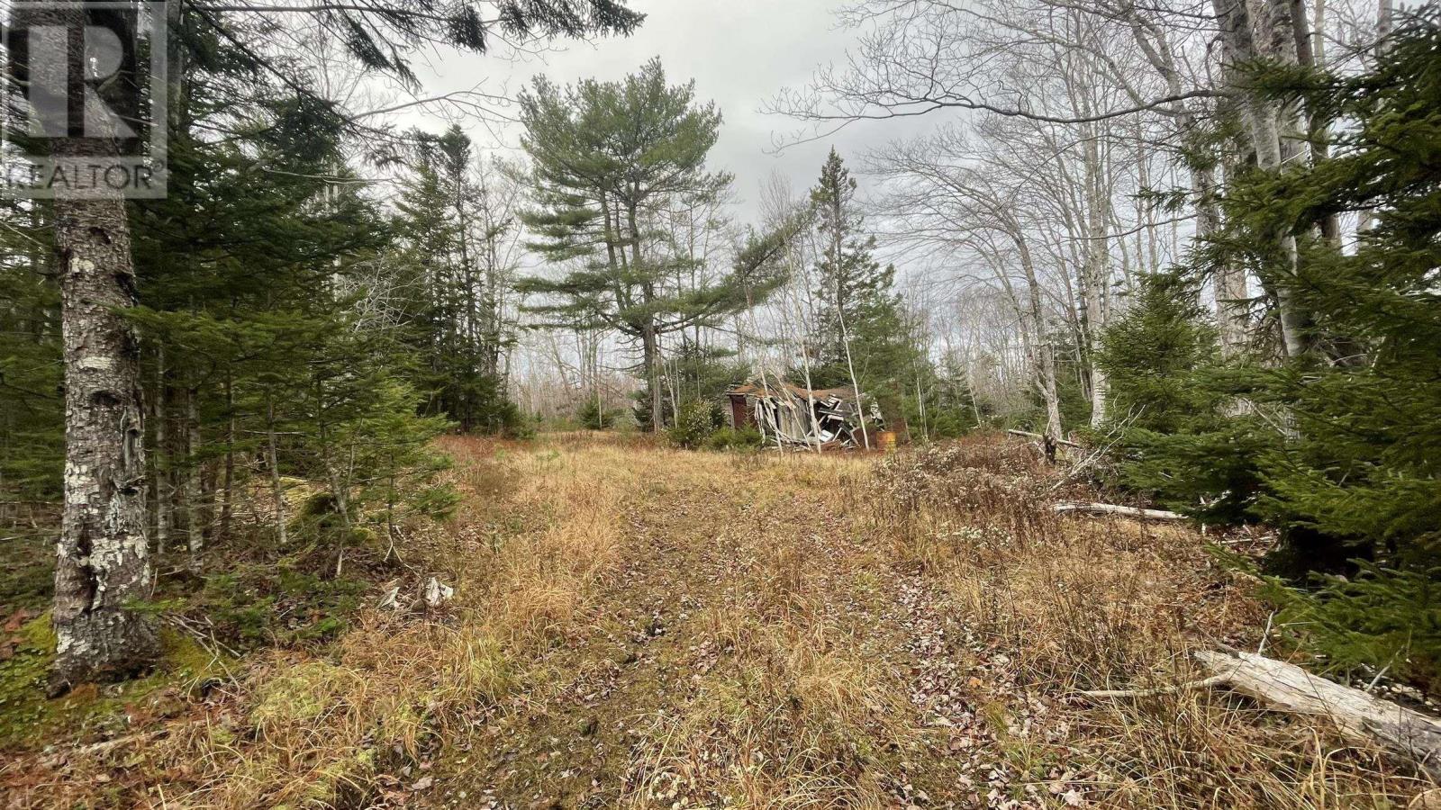 Lots Sissiboo Road, Bear River, Nova Scotia  B0S 1B0 - Photo 13 - 202426725