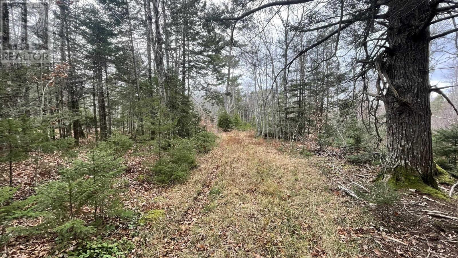 Lots Sissiboo Road, Bear River, Nova Scotia  B0S 1B0 - Photo 14 - 202426725