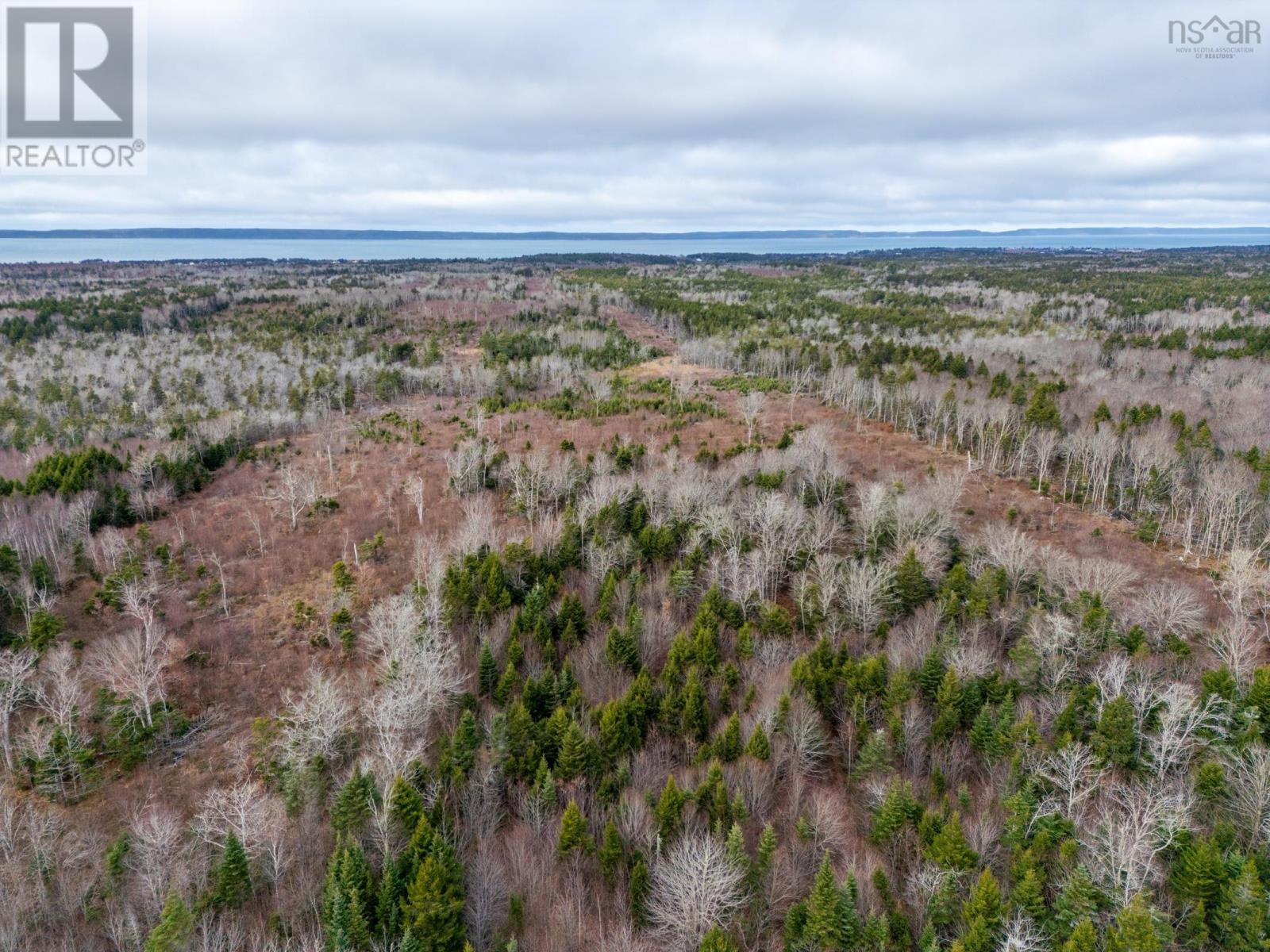 131 Bartlett Lake Lane, Grosses Coques, Nova Scotia  B0W 1M0 - Photo 42 - 202426802