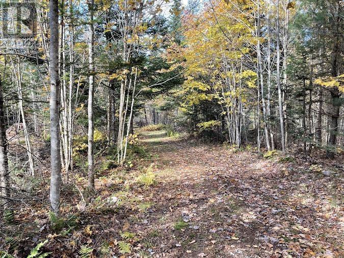 Cove Road, Watervale, Nova Scotia  B0K 1P0 - Photo 3 - 202426813