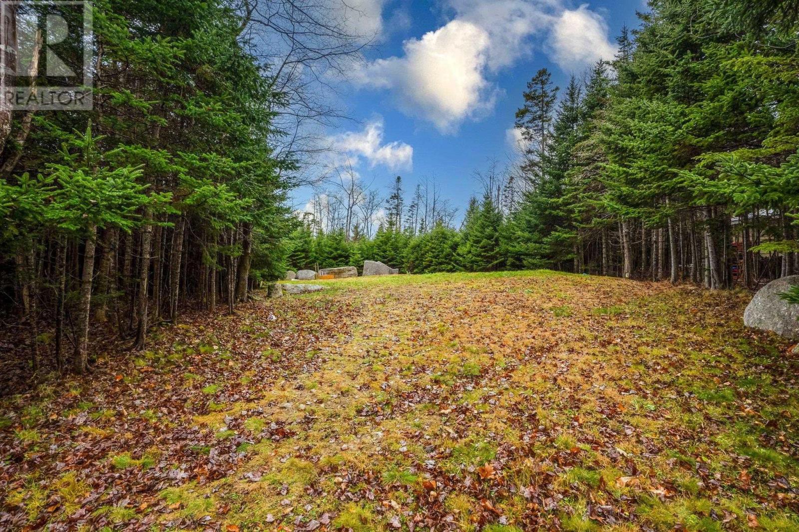 313 Brookside Road, Brookside, Nova Scotia  B3T 1T2 - Photo 42 - 202426844