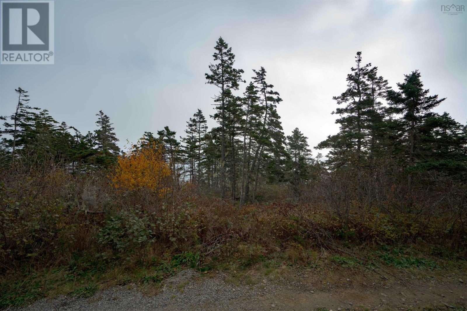 Lot 6 South View Drive, Freeport, Nova Scotia  B0V 1B0 - Photo 8 - 202426985