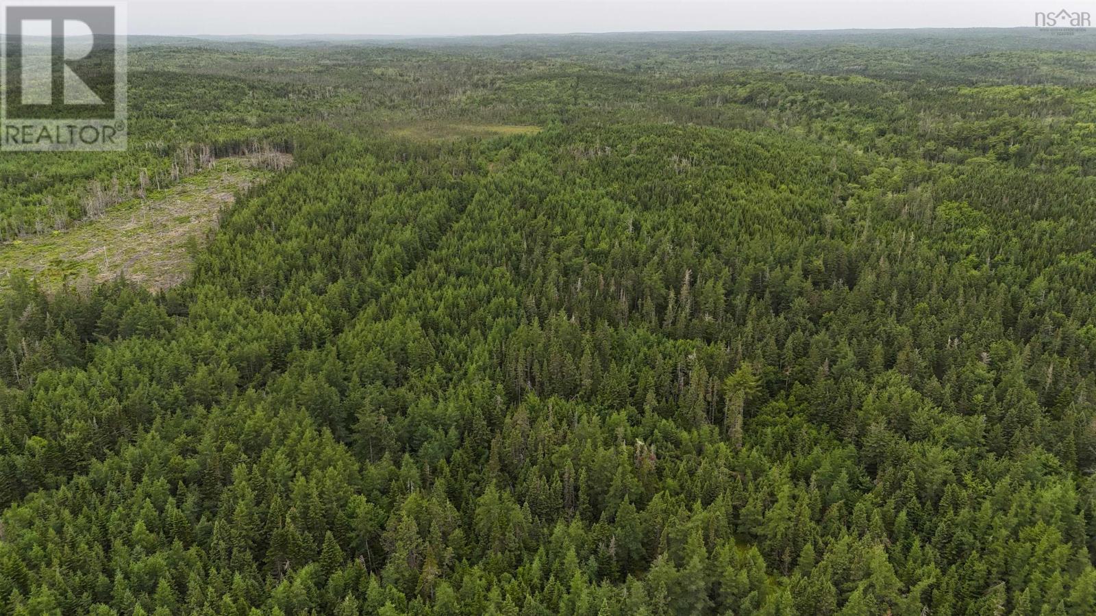 Highway 344, St. Francis Harbour, Nova Scotia  B0E 2G0 - Photo 14 - 202427022