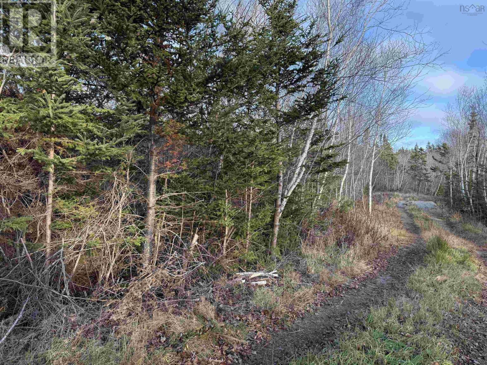 Lot 2 Sandy Point Road, Sandy Point, Nova Scotia  B0T 1W0 - Photo 5 - 202427082