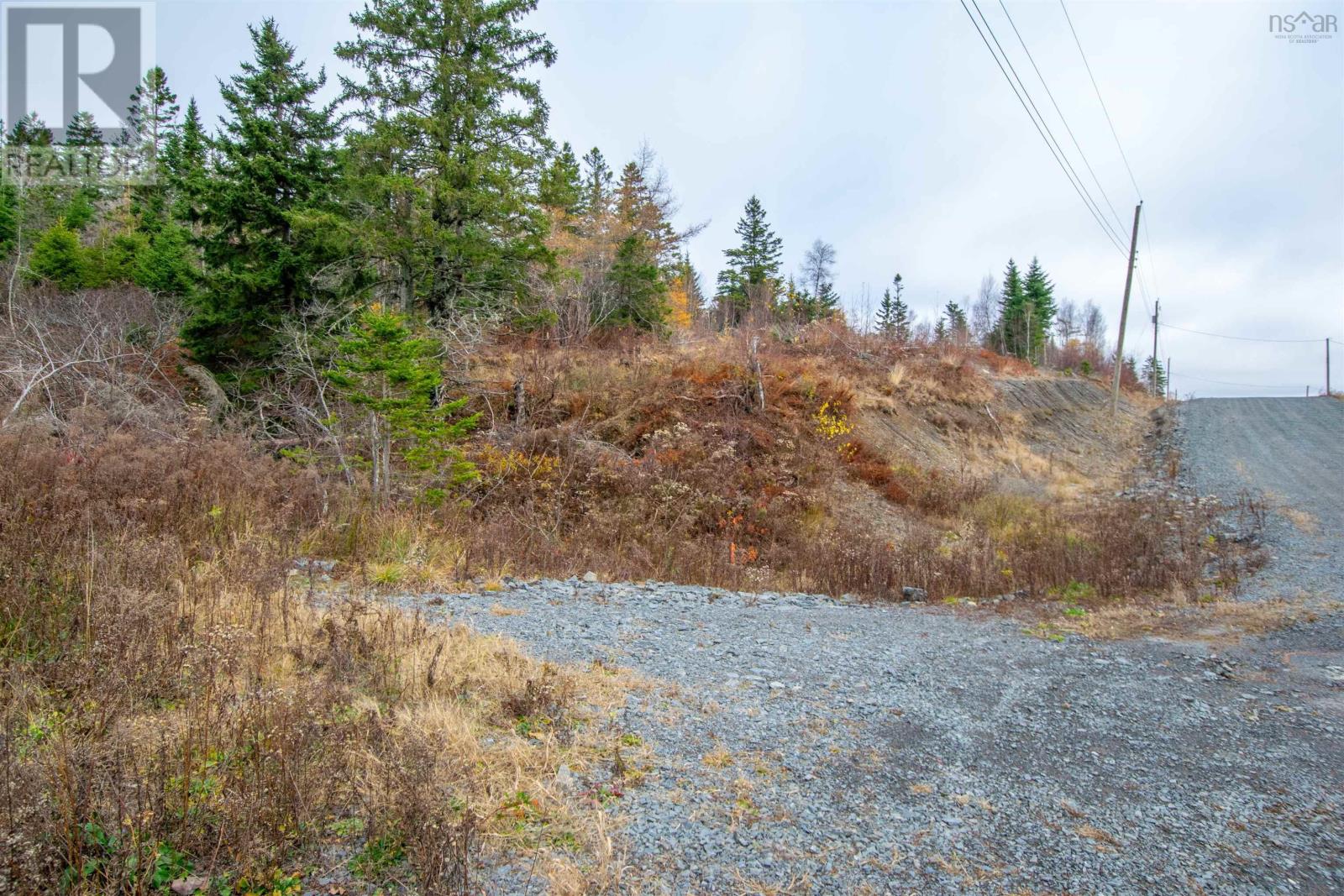 Lot Danyella's Lane, South Rawdon, Nova Scotia  B0N 1Z0 - Photo 11 - 202427116