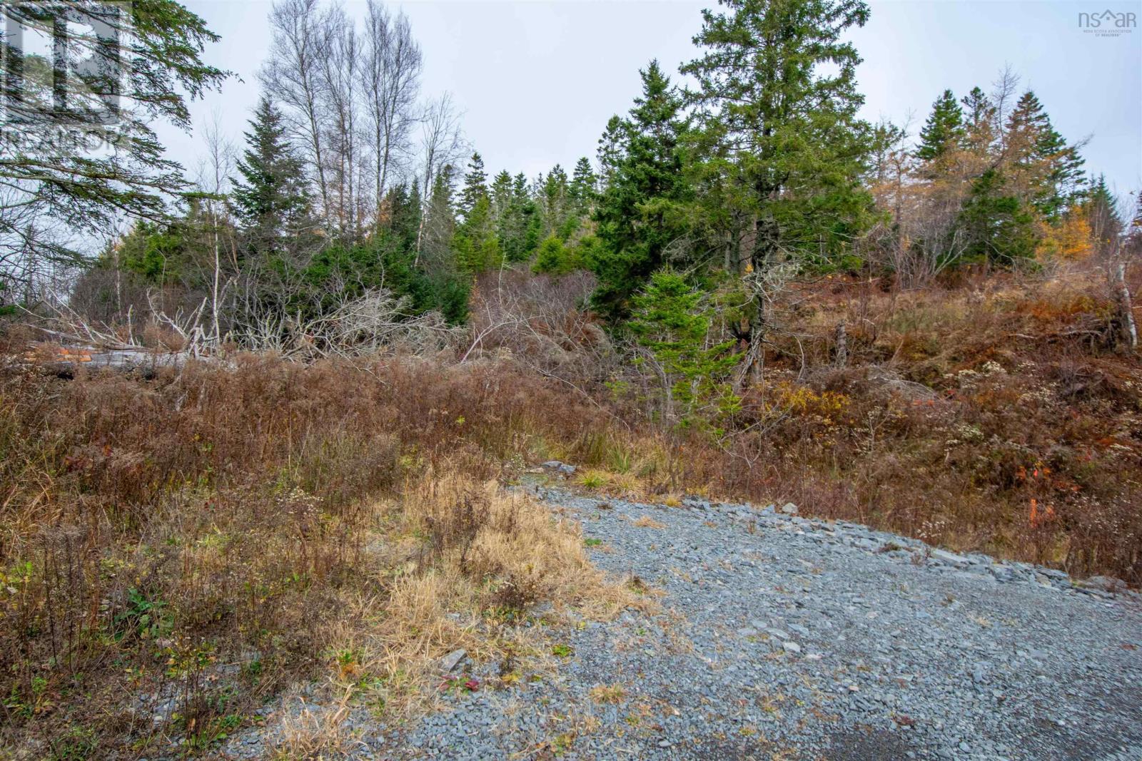 Lot Danyella's Lane, South Rawdon, Nova Scotia  B0N 1Z0 - Photo 35 - 202427116