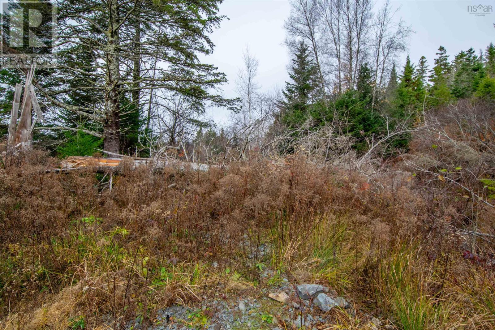 Lot Danyella's Lane, South Rawdon, Nova Scotia  B0N 1Z0 - Photo 38 - 202427116