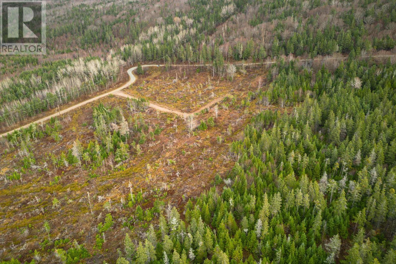 Lot 12 Creignish Mountain Road, Creignish, Nova Scotia  B9A 1B6 - Photo 18 - 202427130