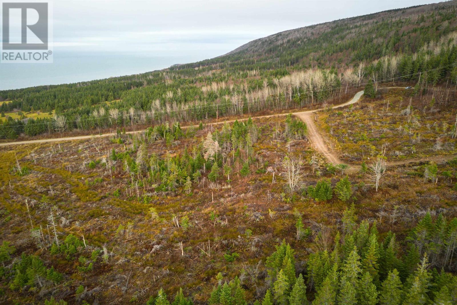 Lot 16 Creignish Mountain Road, Creignish, Nova Scotia  B9A 1B6 - Photo 19 - 202427134