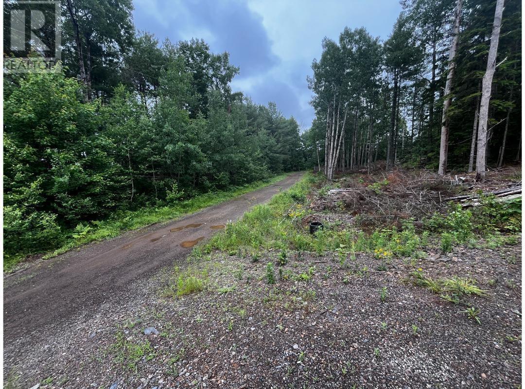 Lot 6 Prime Lane Road, White Rock, Nova Scotia  B4P 2R2 - Photo 10 - 202427243