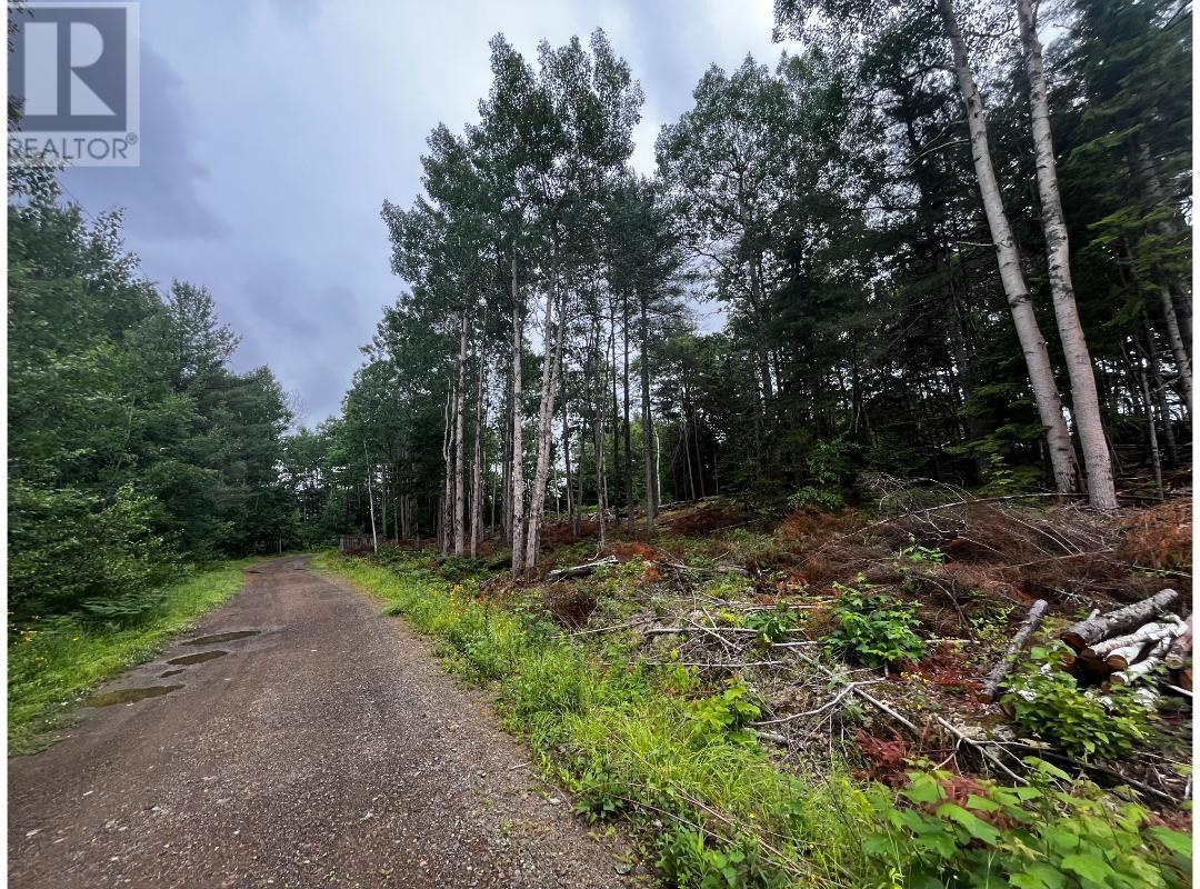 Lot 6 Prime Lane Road, White Rock, Nova Scotia  B4P 2R2 - Photo 11 - 202427243