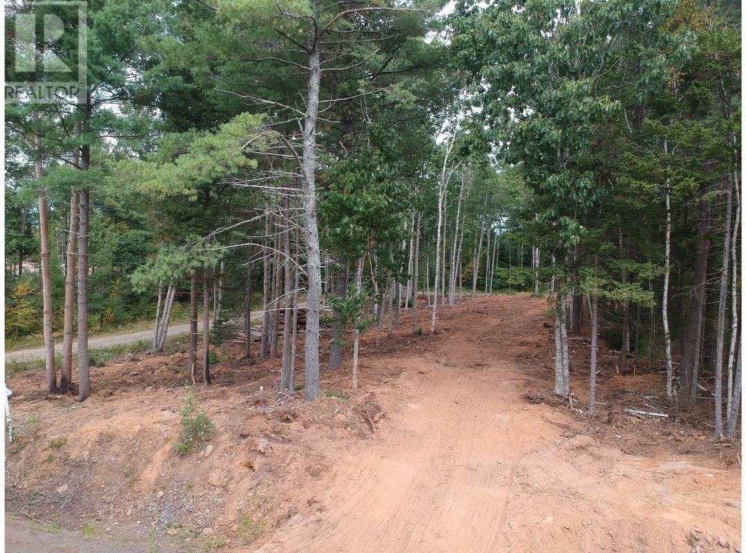 Lot 6 Prime Lane Road, White Rock, Nova Scotia  B4P 2R2 - Photo 16 - 202427243