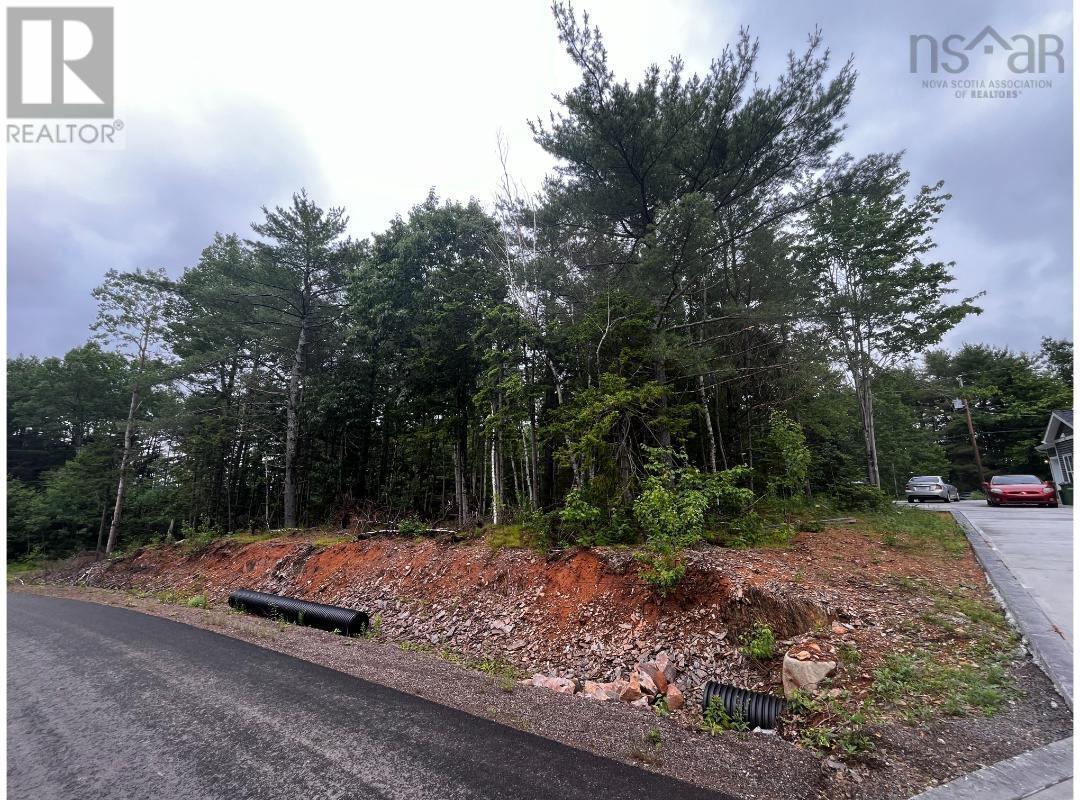 Lot 6 Prime Lane Road, White Rock, Nova Scotia  B4P 2R2 - Photo 8 - 202427243