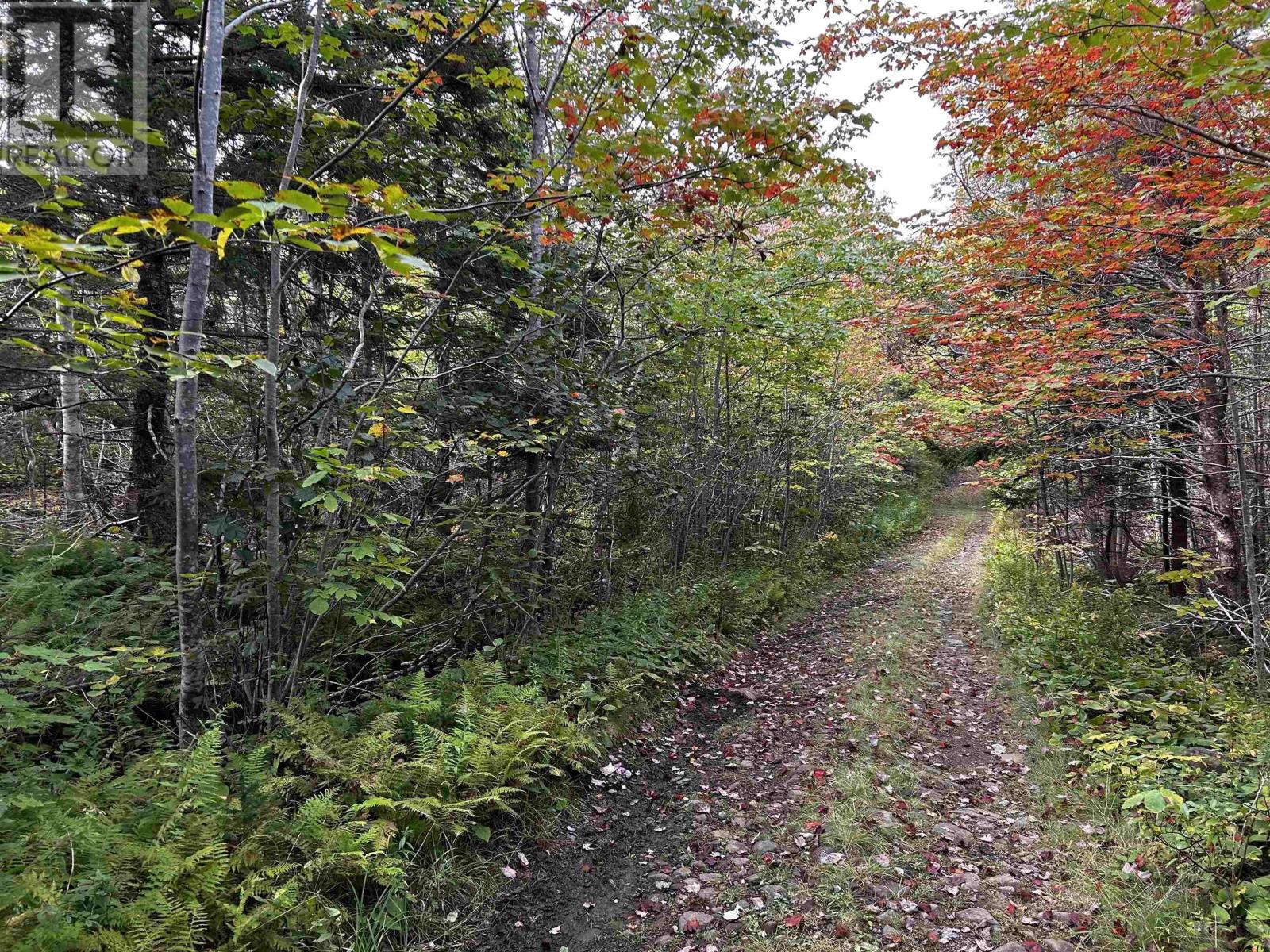 Lot Broad Cove Road, culloden, Nova Scotia