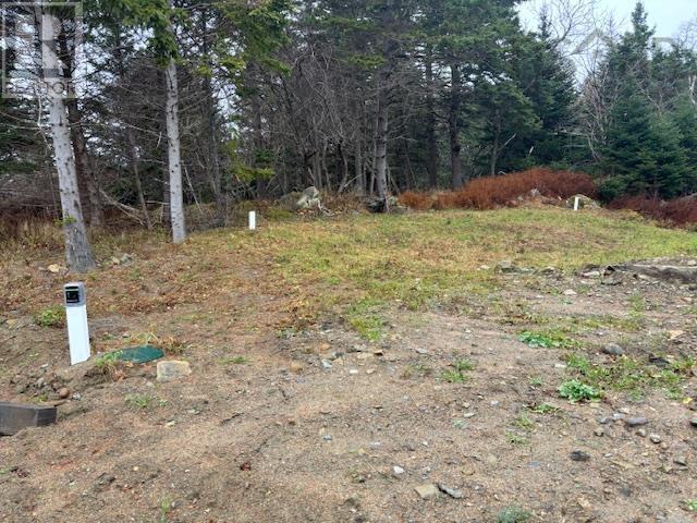 4601 Highway 331, West Dublin, Nova Scotia  B0R 1C0 - Photo 31 - 202427267