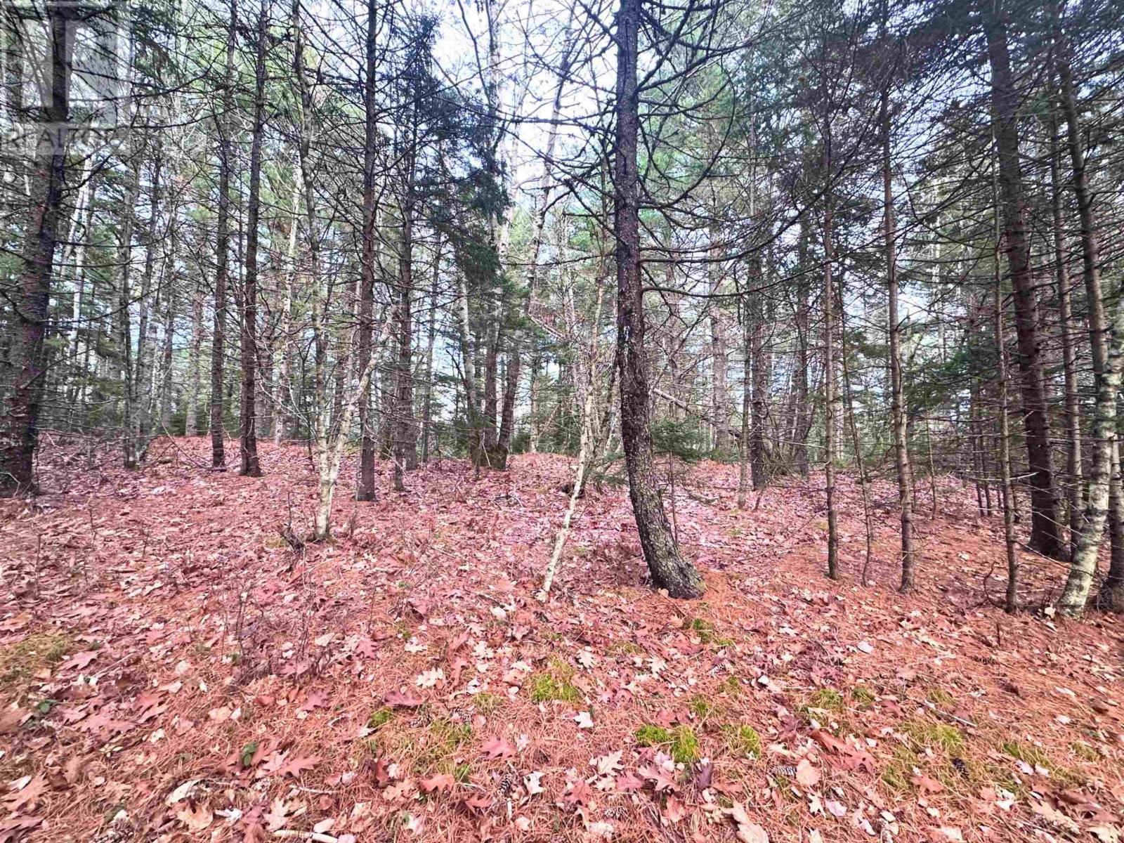 Lot 10 Ernest Marion Drive, Laconia, Nova Scotia  B4V 5W1 - Photo 10 - 202427328