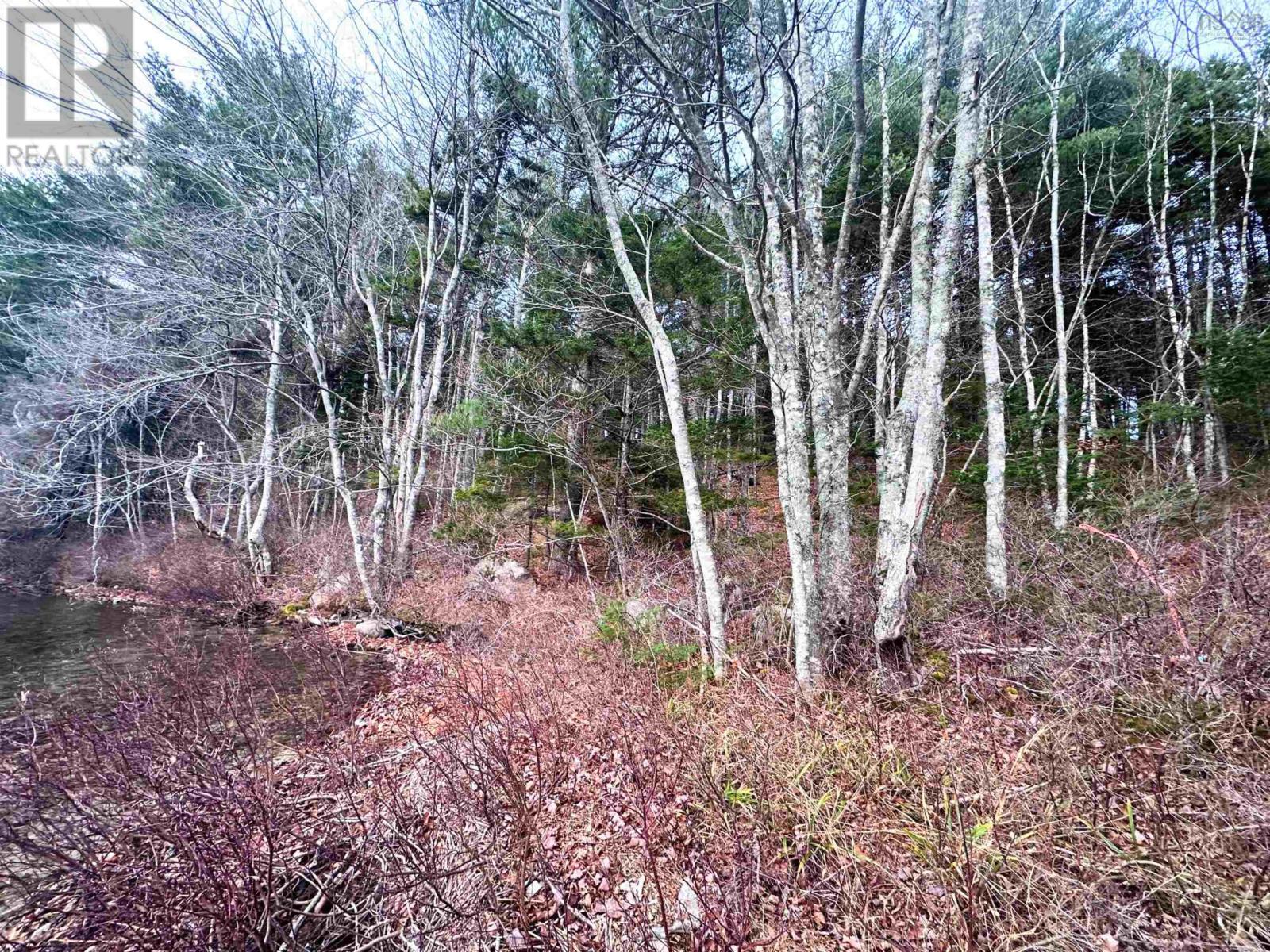 Lot 10 Ernest Marion Drive, Laconia, Nova Scotia  B4V 5W1 - Photo 15 - 202427328